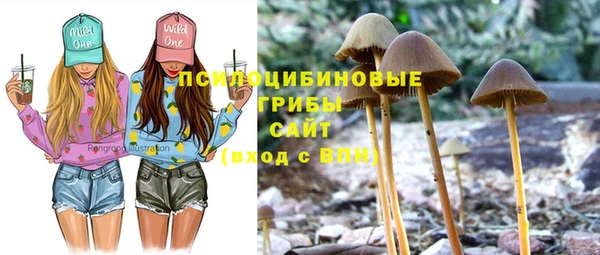 apvp Покровск