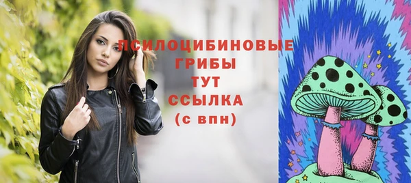 шишки Покров