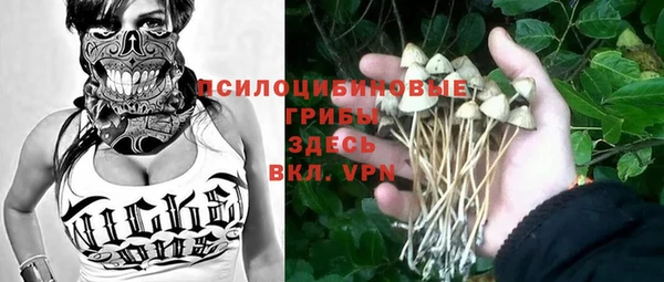 герыч Пестово