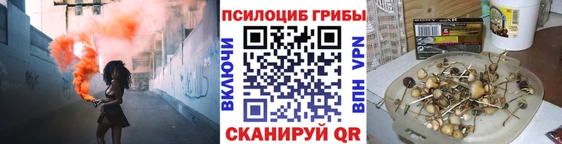 Псилоцибиновые грибы Cubensis  Волгоград 