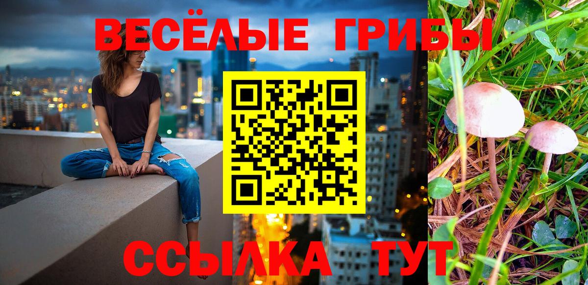 Псилоцибиновые грибы мухоморы Волгоград
