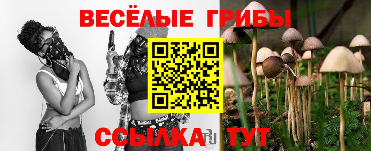 Волгоград  Галлюциногенные грибы GOLDEN TEACHER  Вход с VPN  Псилоцибиновые грибы Cubensis 