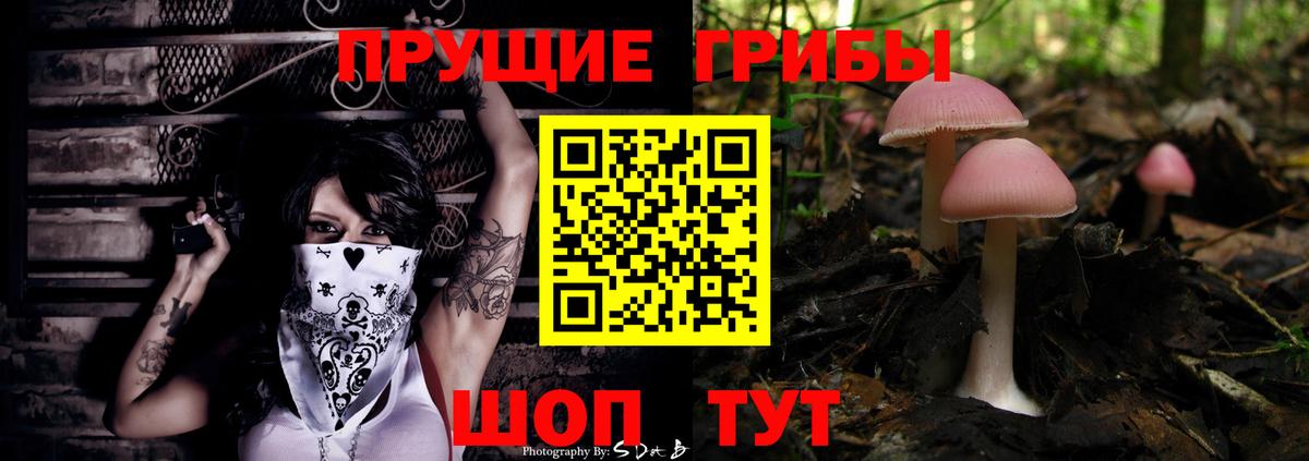 Галлюциногенные грибы ЛСД Волгоград